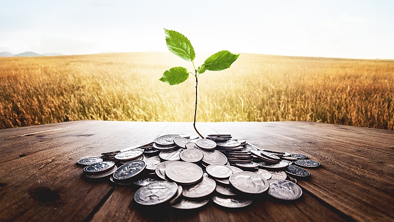 A4S launches guidance to help develop business case for nature