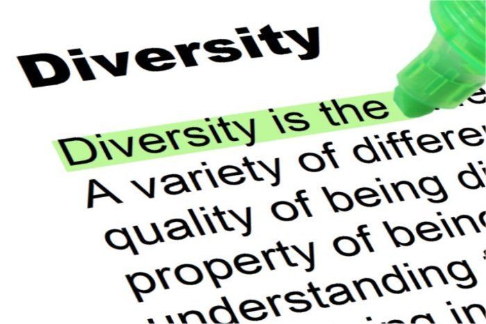 UK investment group launches diversity drive