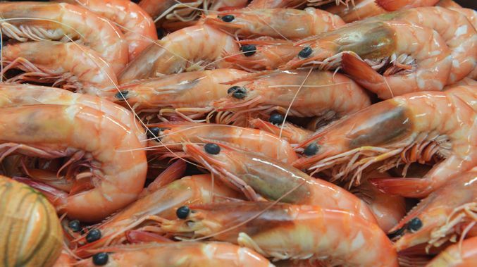 Investor feedback sought on Seafood Stewardship Index