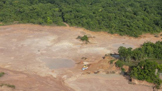 Blackrock ESG funds worst for ‘deforestation risk’