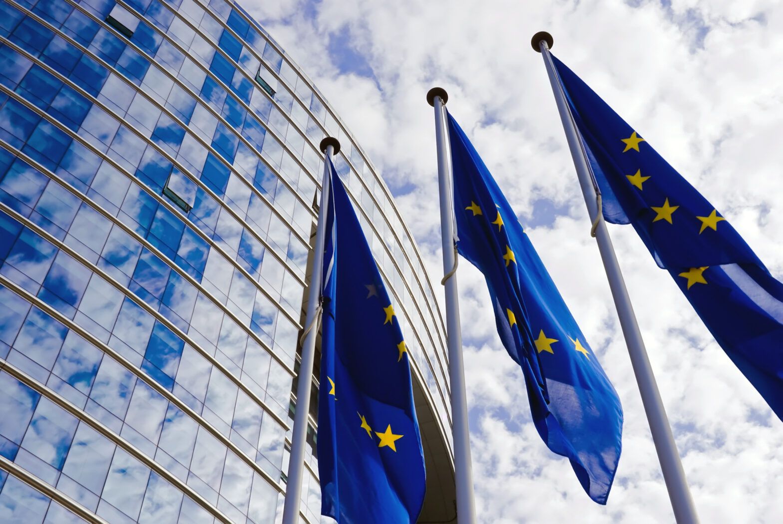 EU passing nature restoration law ‘positive signal’ for investors