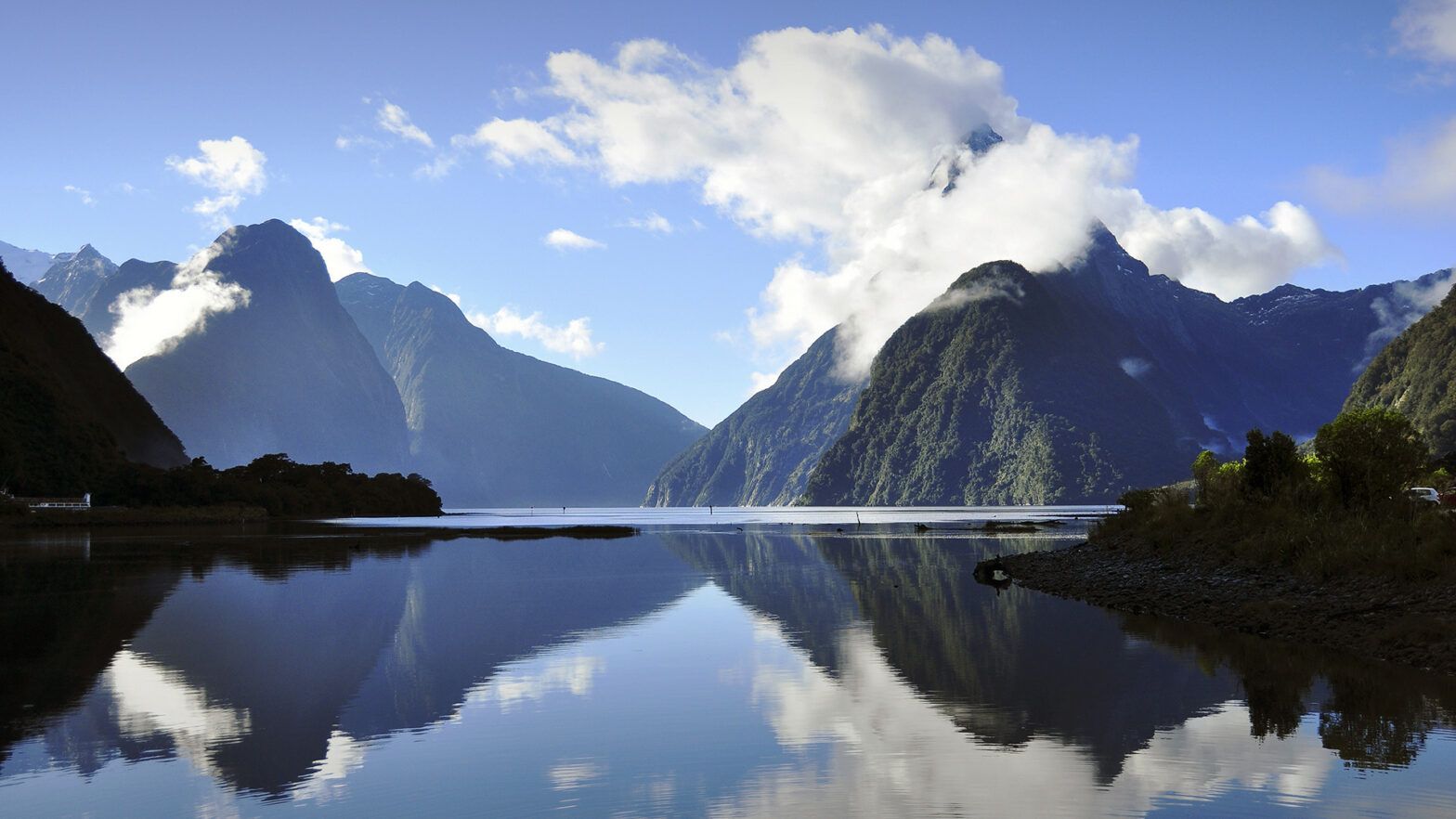 New Zealand regulator warns Vanguard over greenwashing penalty