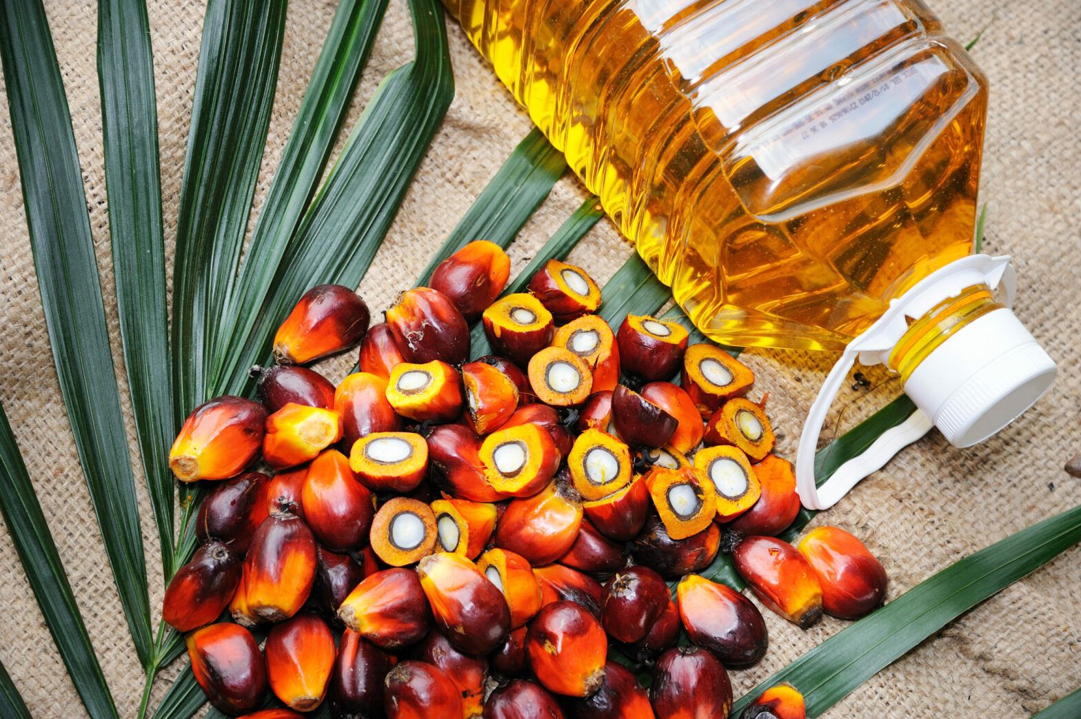 Palm oil investing through an ESG lens