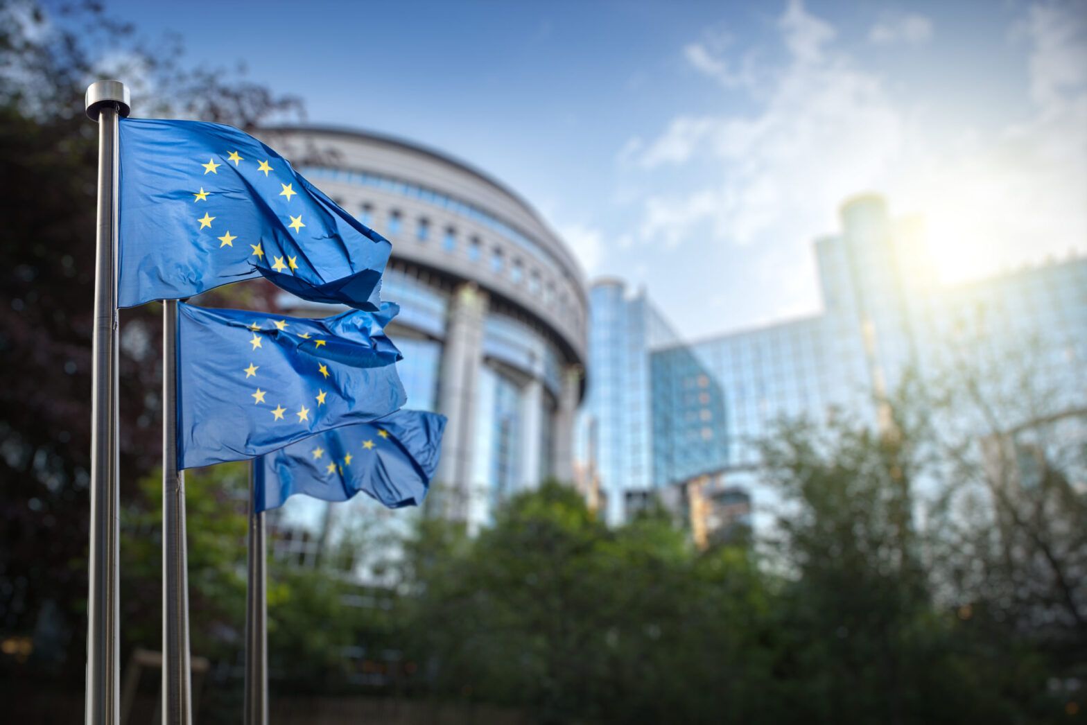 EU due diligence law ‘light touch’ on financial sector
