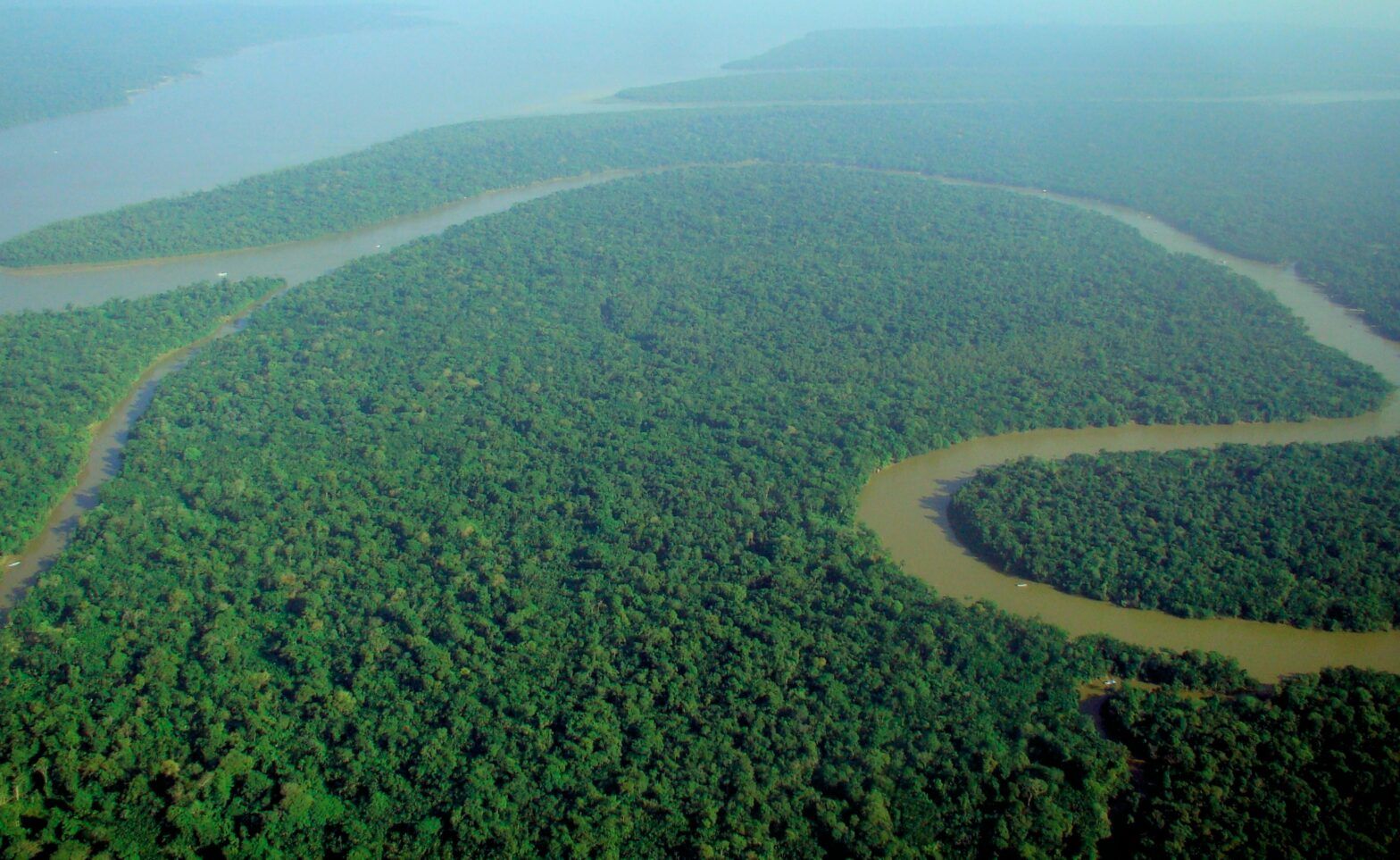 Global fund groups issue deforestation warning