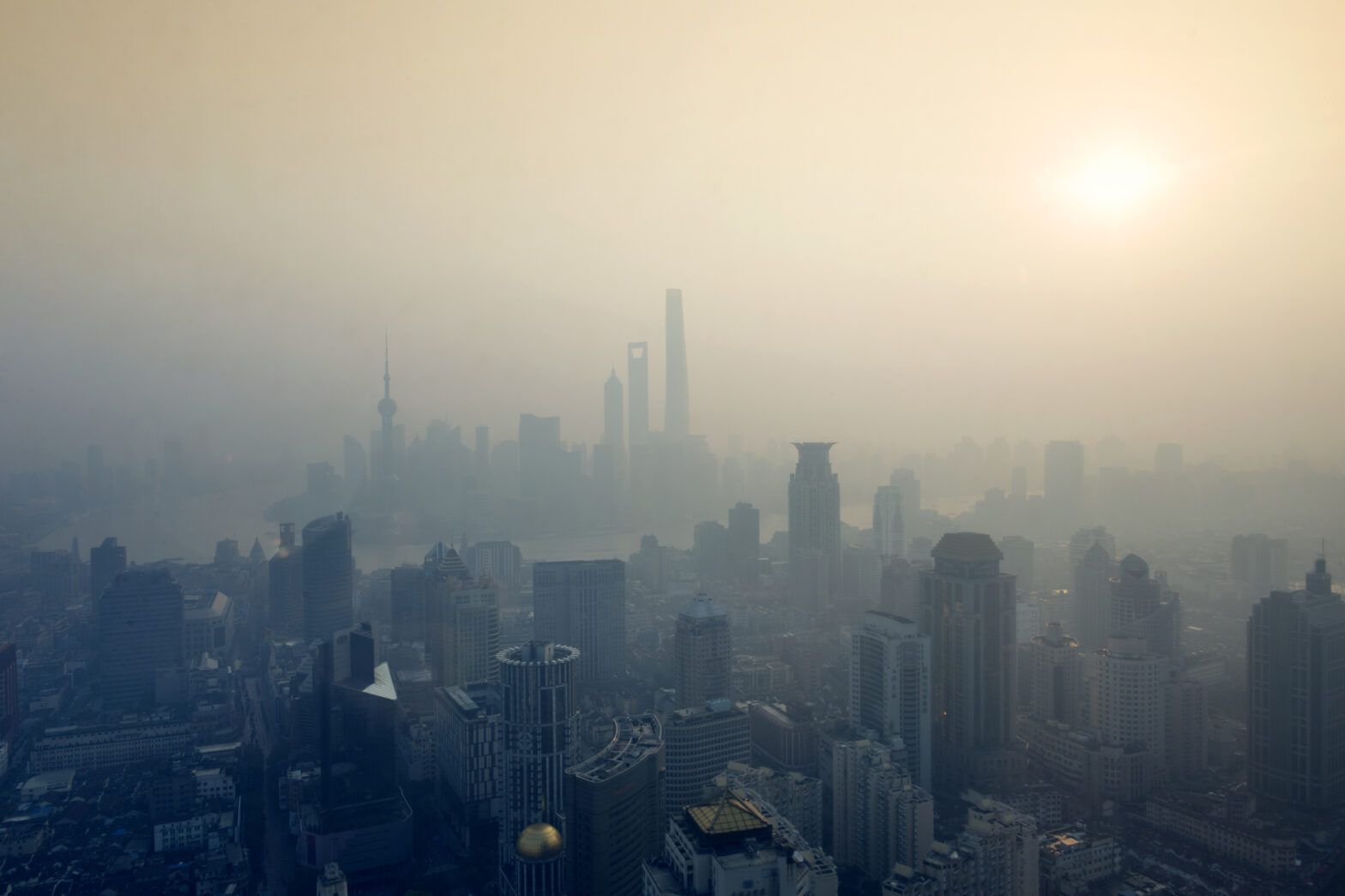 Opportunities in China’s carbon neutral plan
