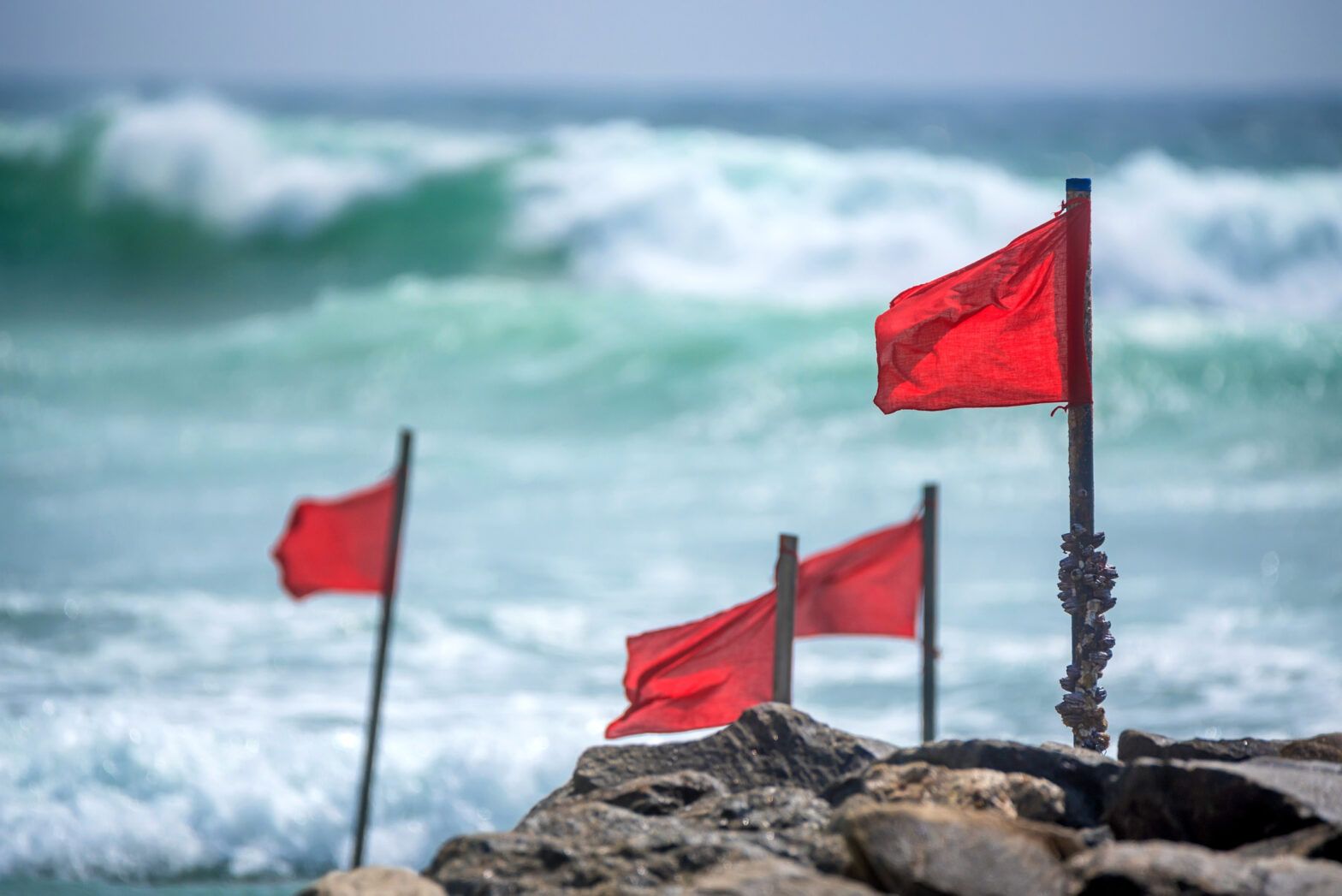 Red flags to look out for in corporate transition plans