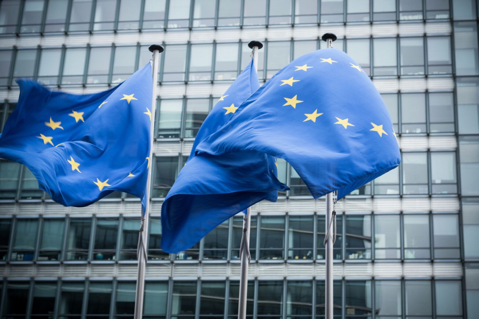 EU introduces disclosure ‘flexibility’ as it adopts sustainability standards