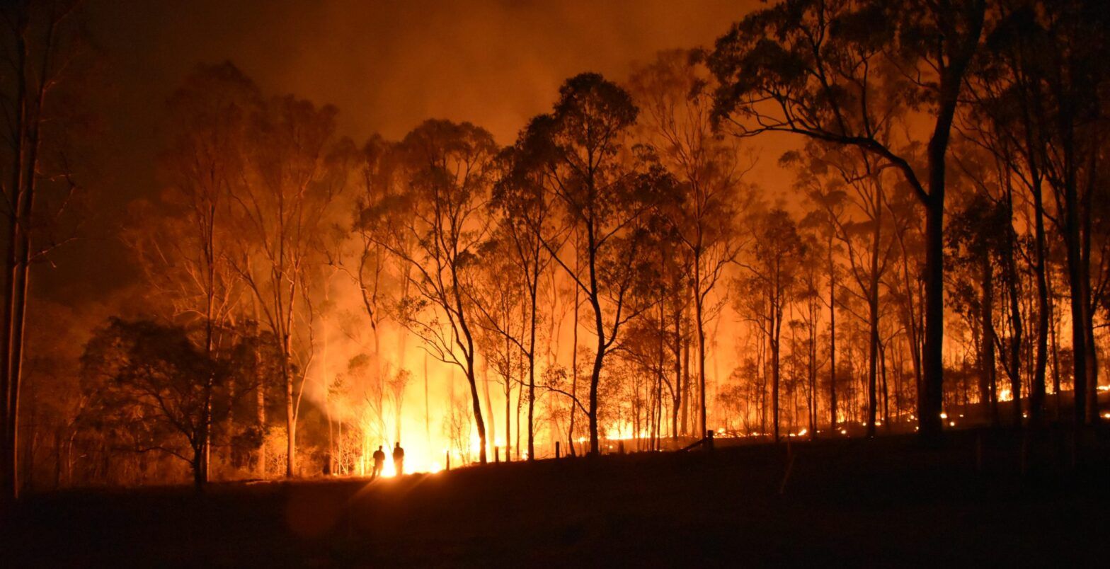 Increasing risk of wildfires threatens global economic growth