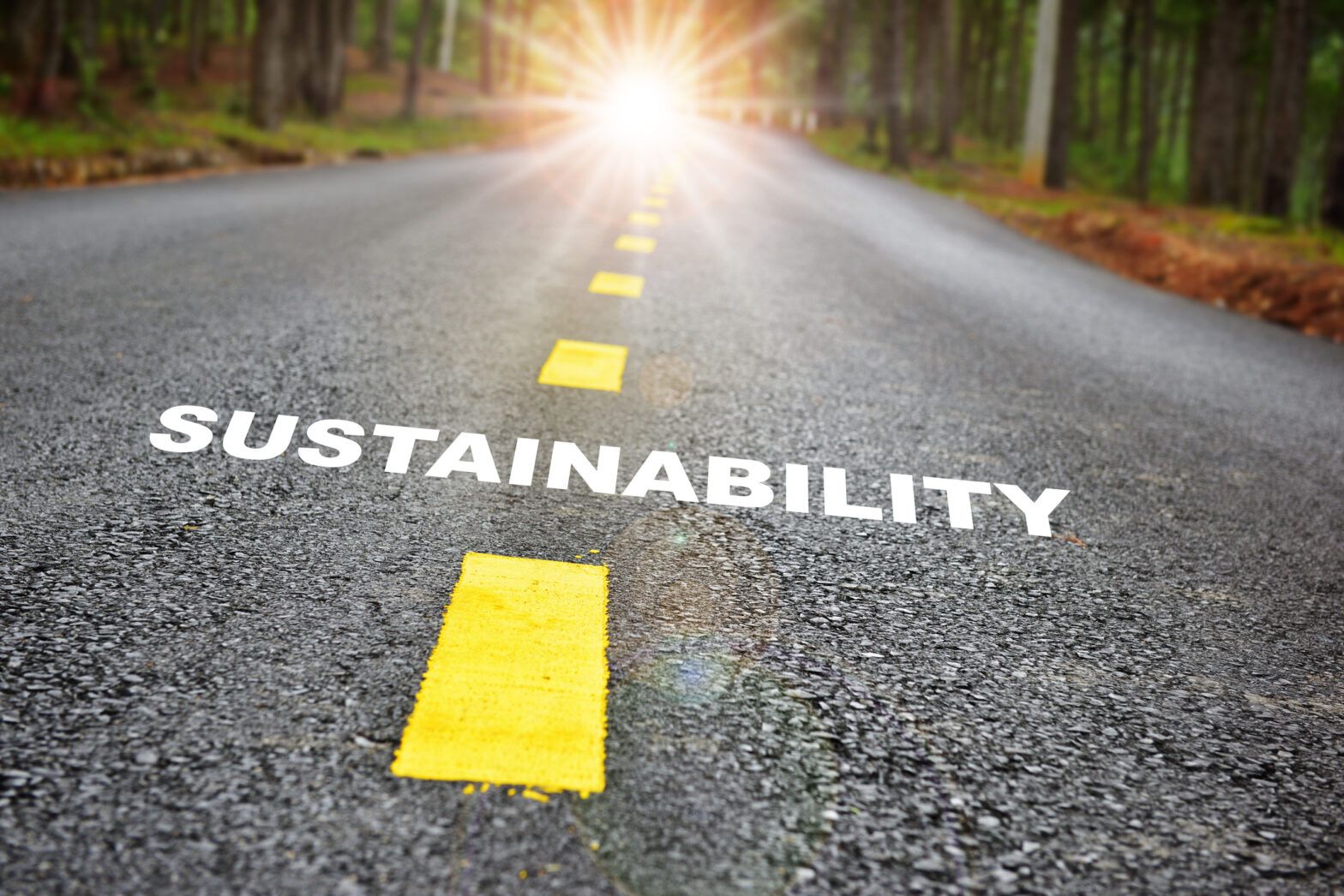 Robeco makes country sustainability rankings open access 