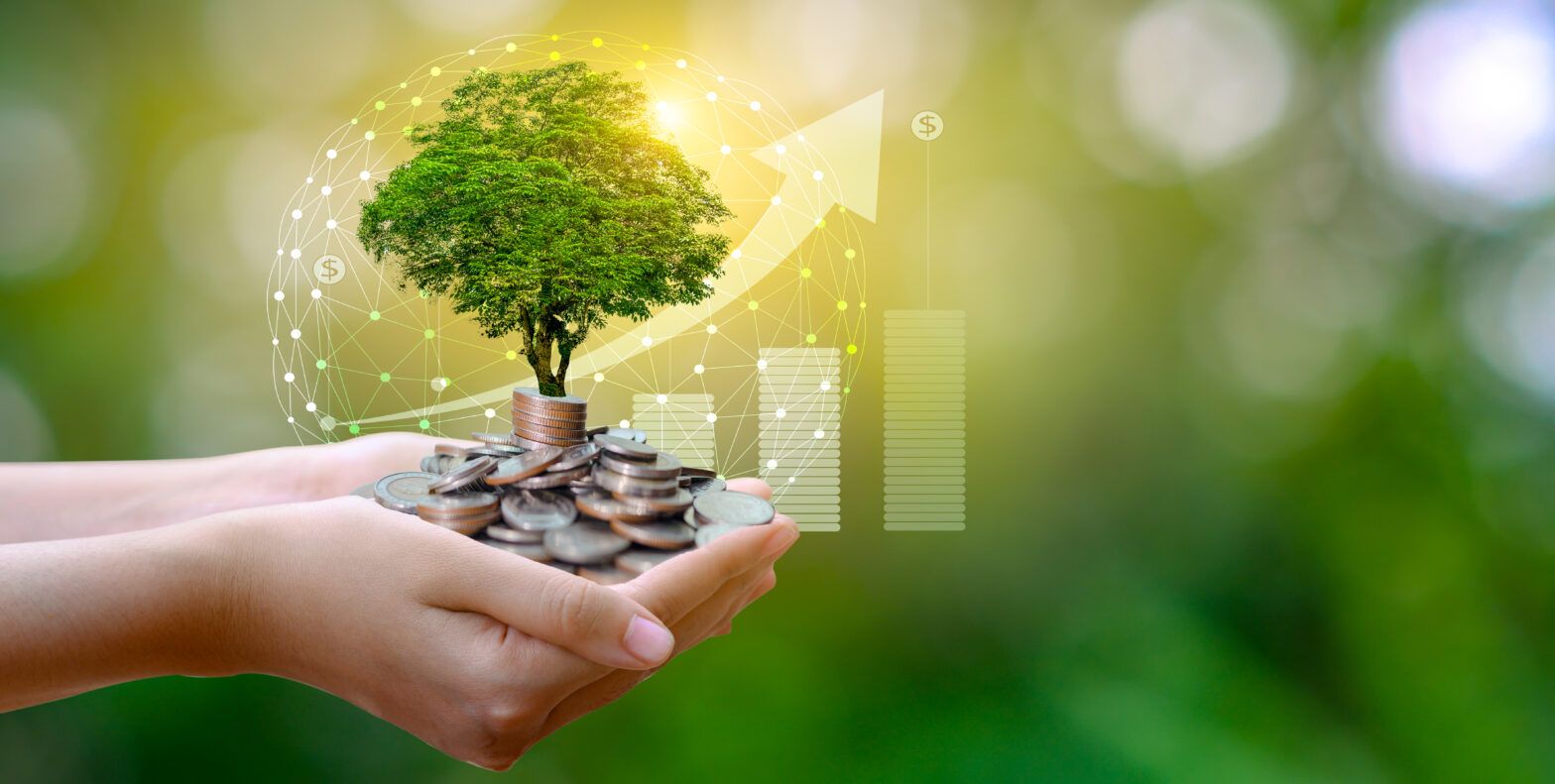Companies with higher ESG ratings see stronger investment returns