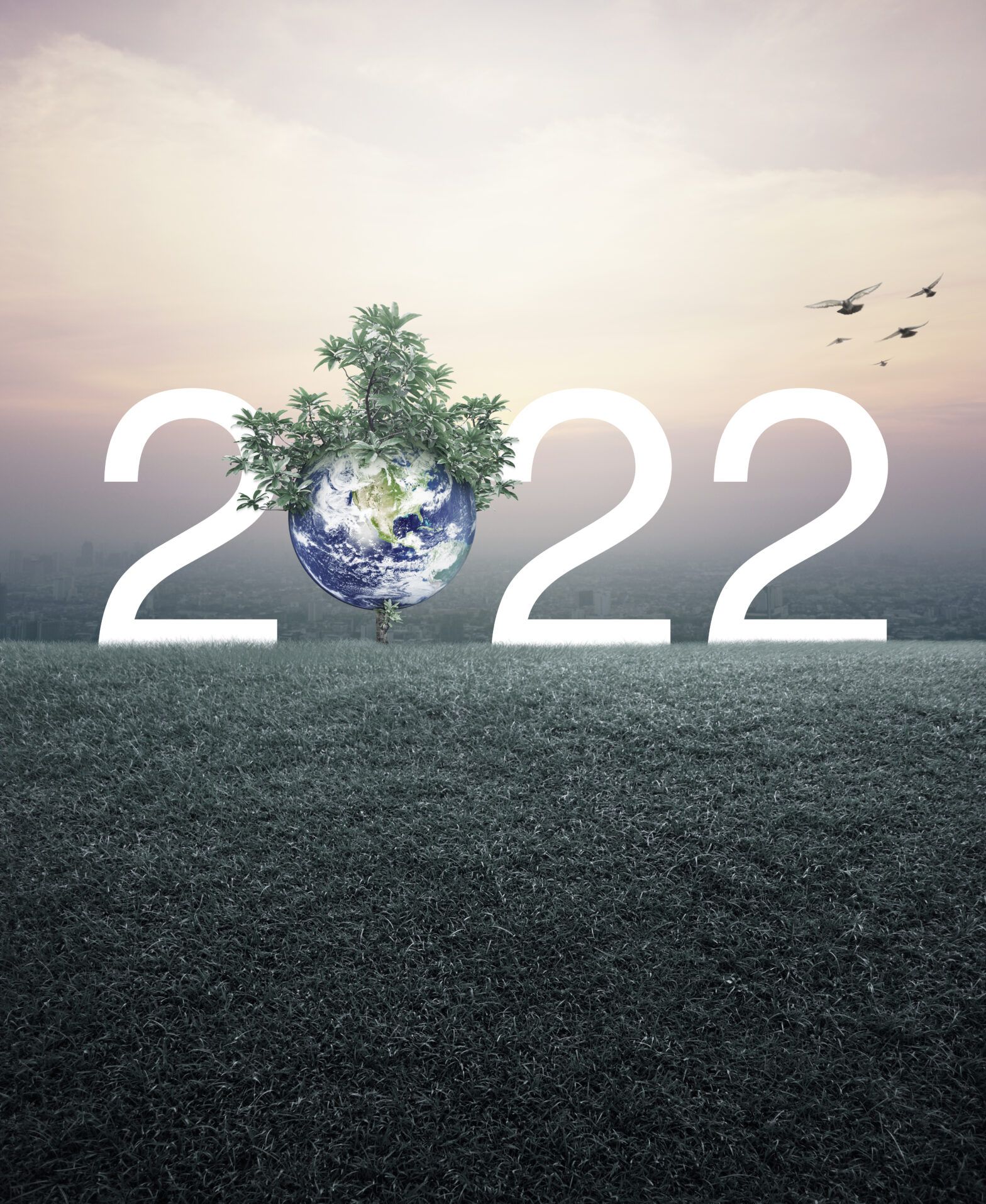 2022 resolutions and predictions part 2: Food waste, jargon and UK leadership