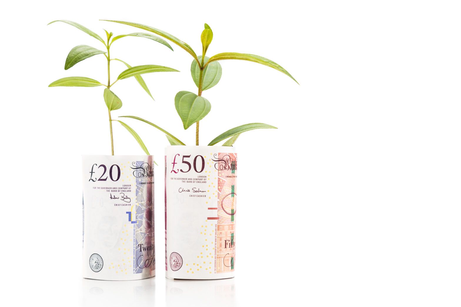 Sustainable fund inflows outdo wider market in 2021