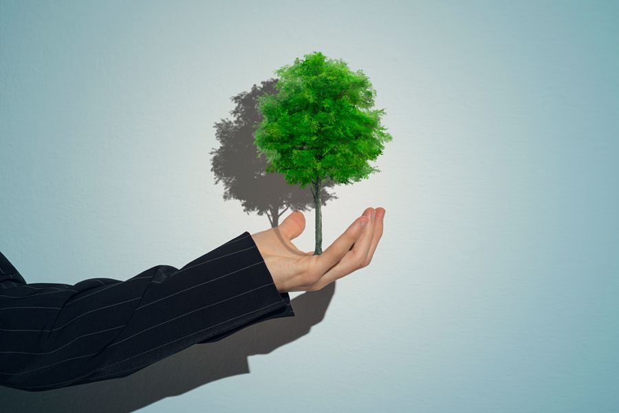 Is ESG losing its lustre, or just reacting to the economy?