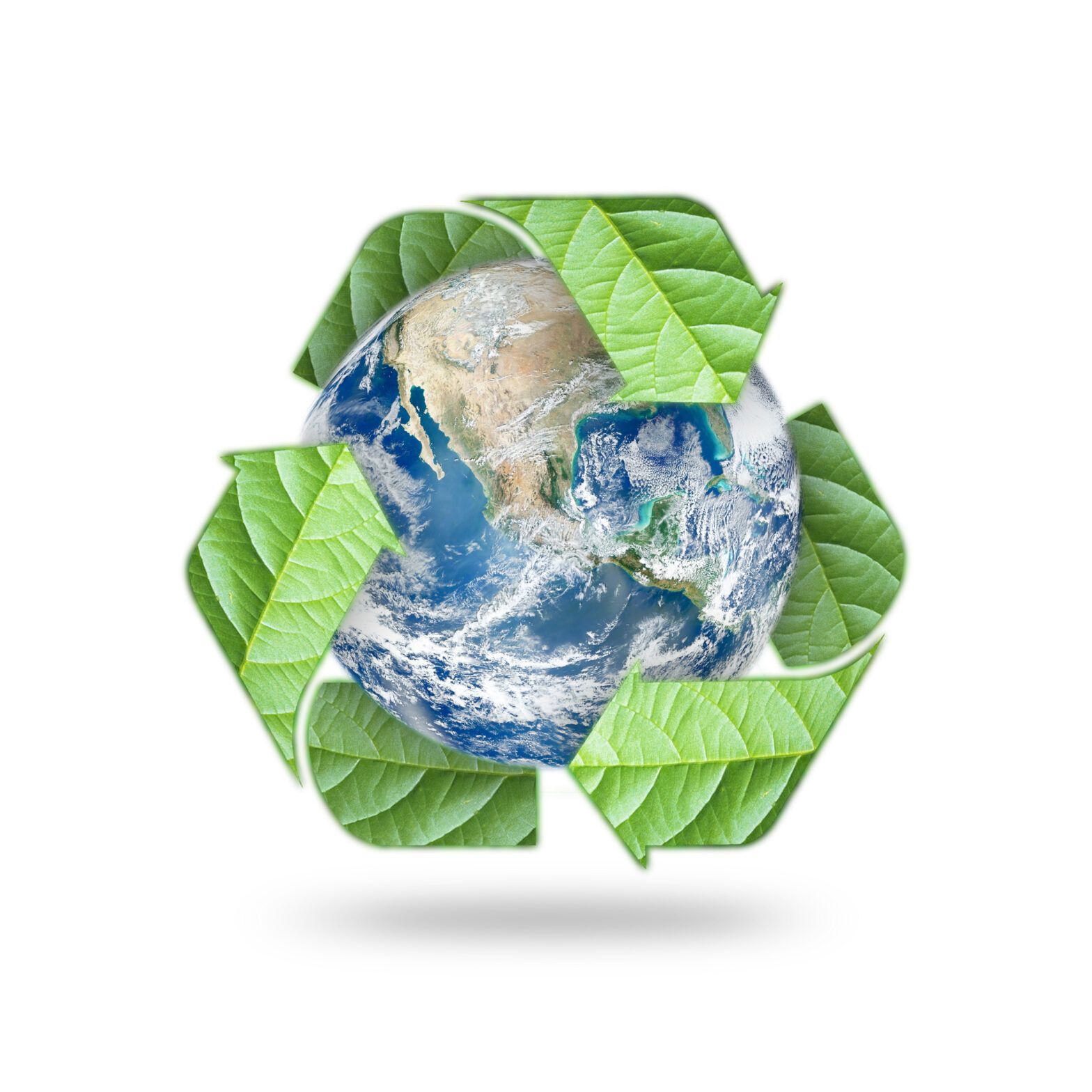 Businesses at the forefront of the circular economy
