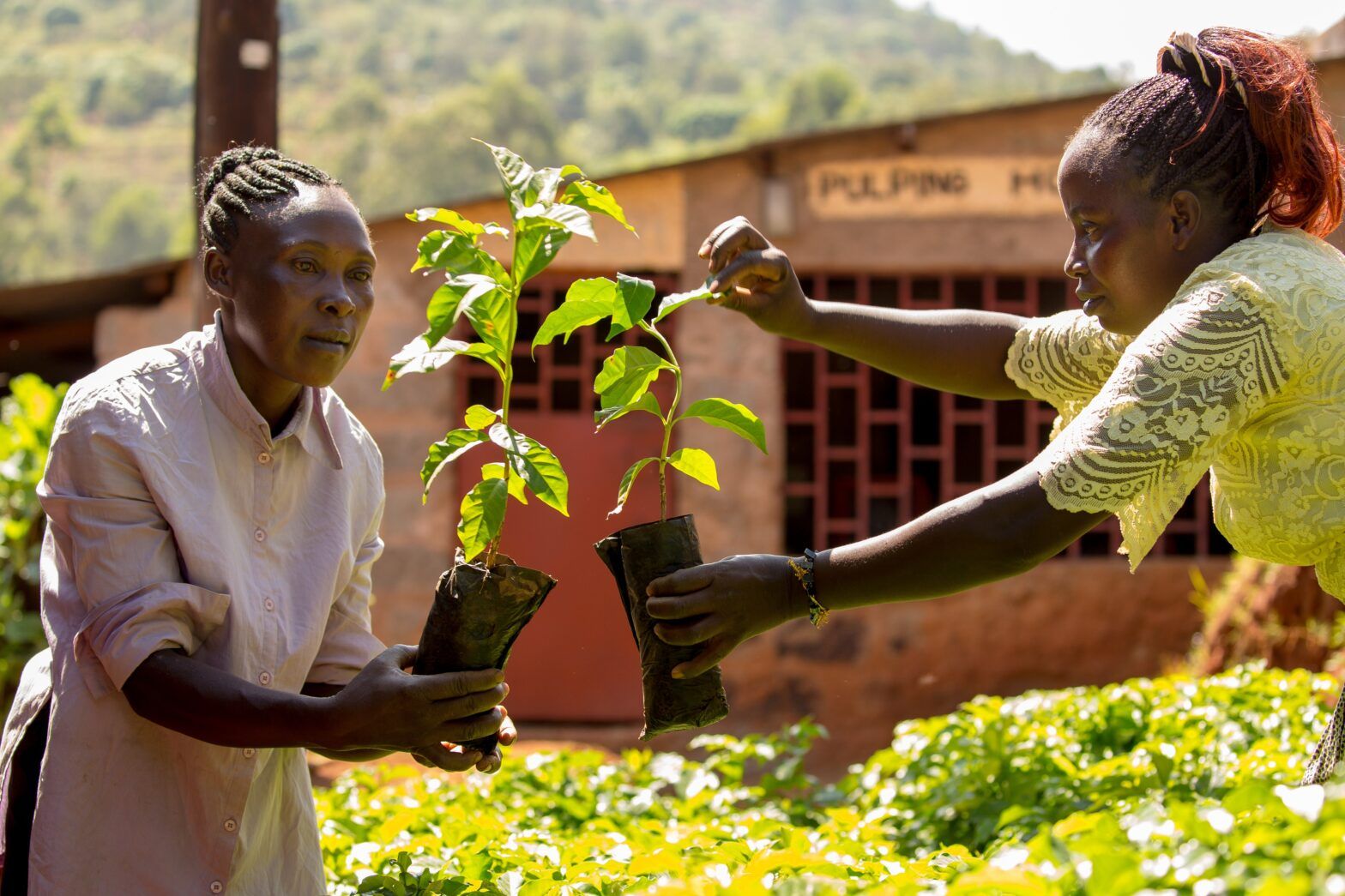 How investors can support farming communities