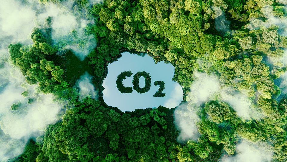 Carbon credits questionable as strategic investments