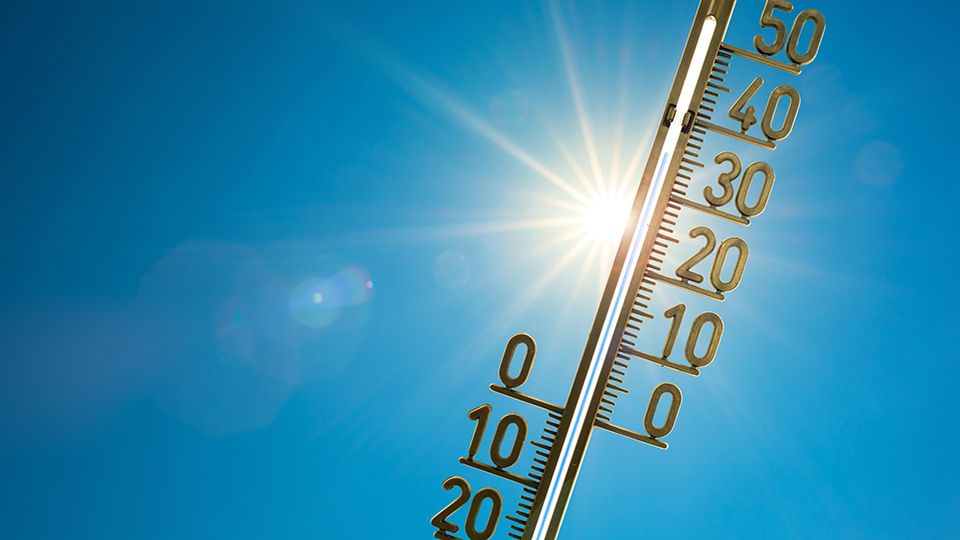 Investors snap up sustainable funds as UK heatwaves continue