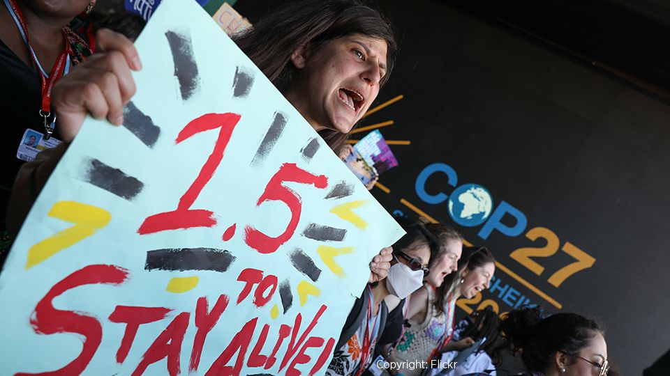 Protestor at COP27