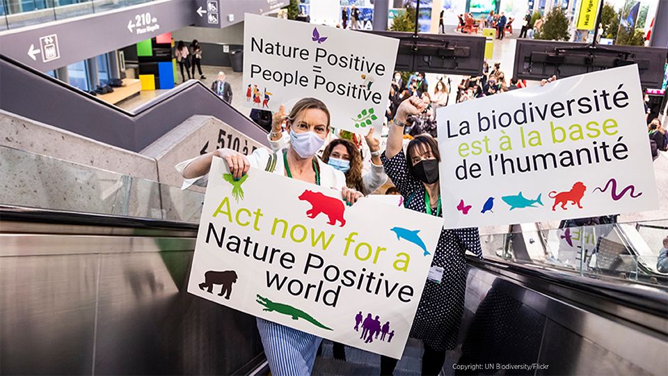 Biodiversity protesters at COP15 in Montreal