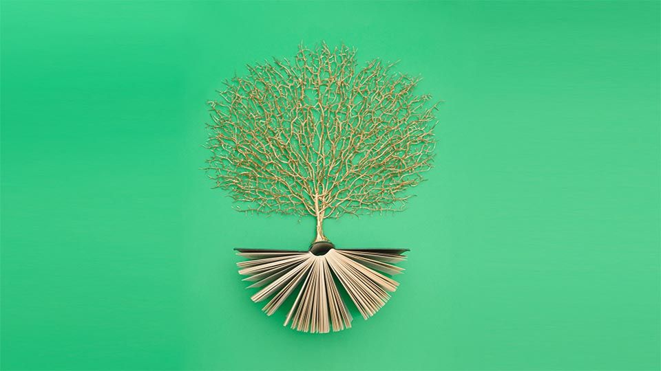 ISSB publishes Taxonomy to enable greater analysis of disclosures