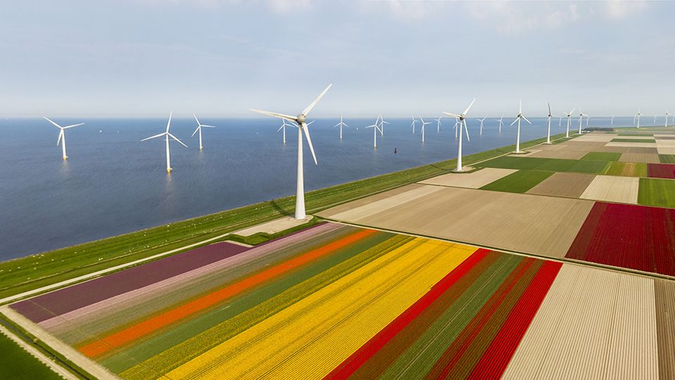 Aerial view of tulip fields and wind turbines in the Noordoostpolder municipality, Flevoland, Netherlands