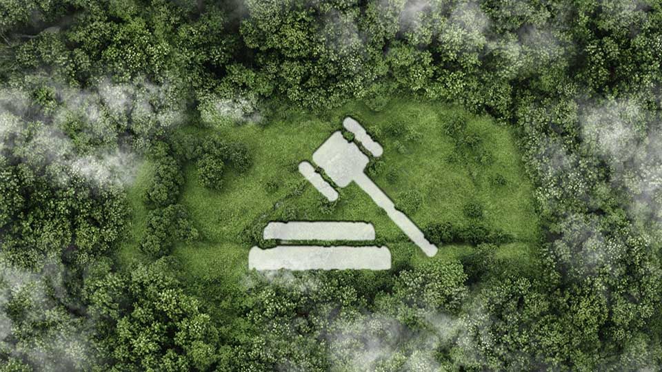 icon gavel on the nature background in The concept of business corporate and industry. law world for environmental regulation.sustainable environment concept