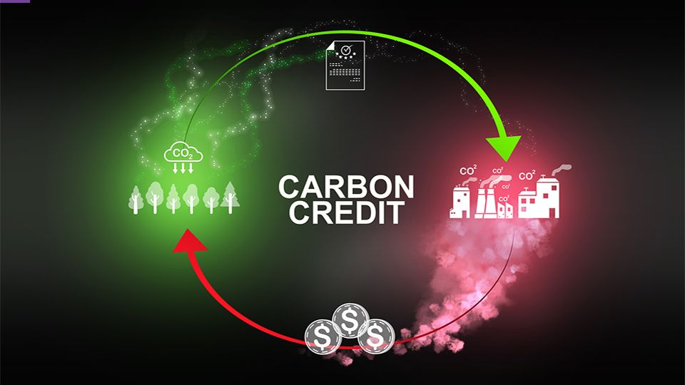 Plan agreed to grow high-integrity demand in voluntary carbon markets