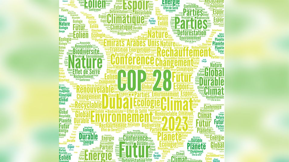 COP 28 in Dubai United Arab Emirates world cloud in French language