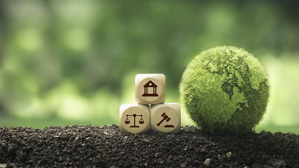 green globe and hammer icon Scales of Justice and the Concept of Environmental Law book contain laws governing the global economy based on environmental sustainability principles.