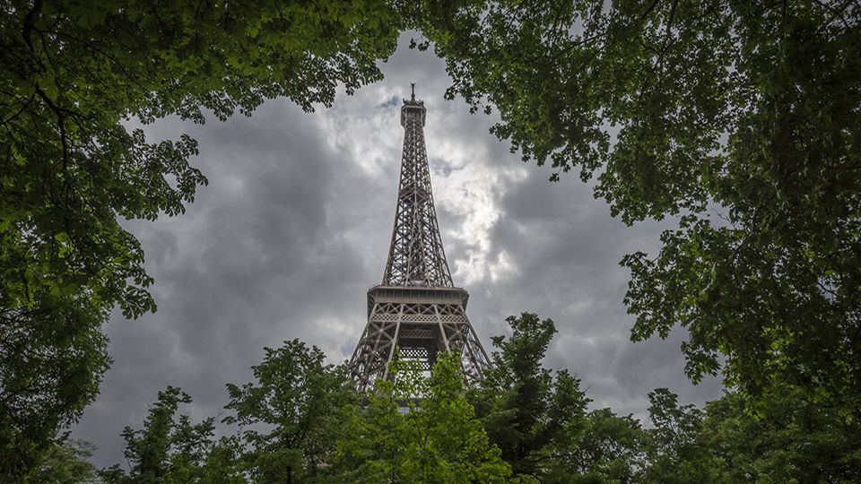 The Eiffel Tower through trees