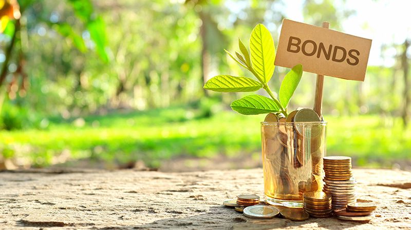 Investment on bonds concept. Coins in a jar with soil and growing plant in nature background.