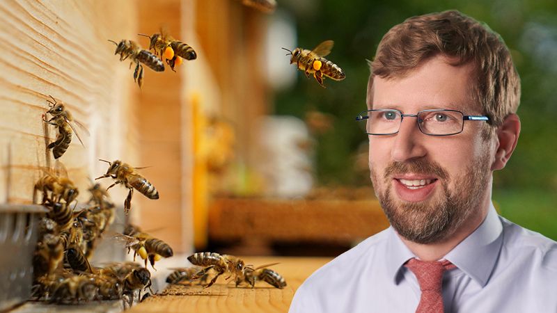 The hive economy: Critical creatures and their value to the planet