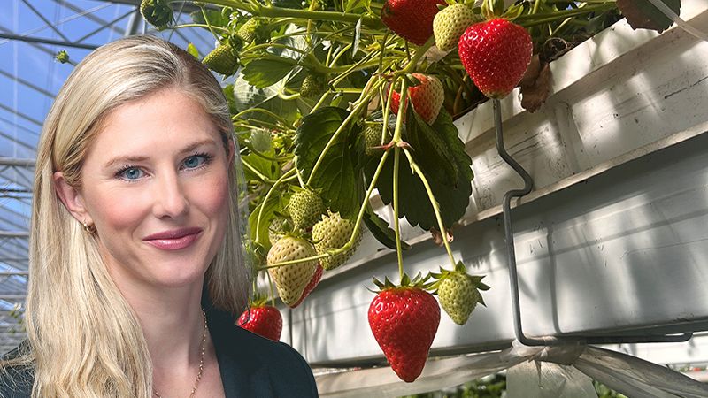 Exploitation risk: Putting the S of ESG into strawberries