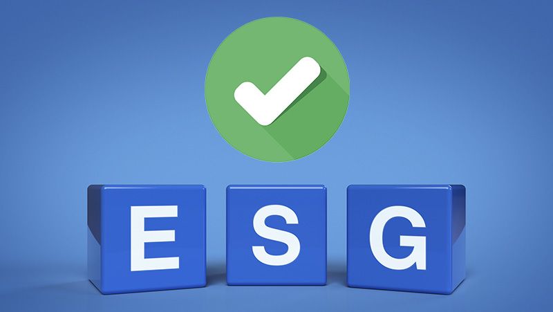 3d rendering, illustration of ESG letter on block cubes on light blue background, Environmental Social Corporate Governance concept