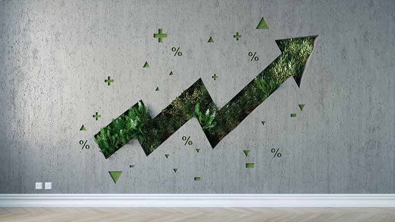 Vertical garden shaped of growing graph arrow on the wall interior. (3d render)