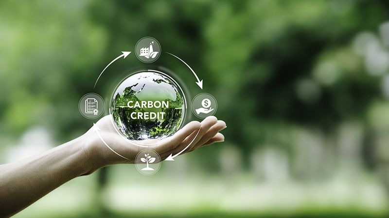 SBTi Carbon credit