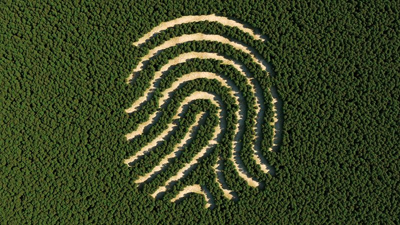 Deforestation in shape of human fingerprint, top view, (3d render)