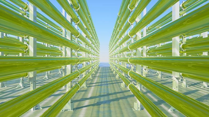 Tubular Algae Bioreactors Fixing CO2 To Produce Biofuel As An Alternative Fuel With Blue Sky Background