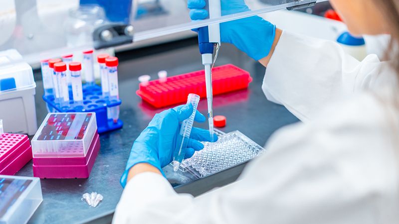 Doctor extracting samples with a pipette from a tray in a cancer research laboratory