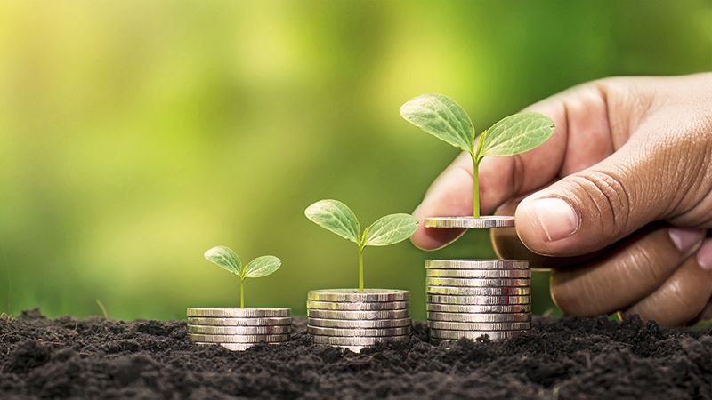 Human hands holding money and trees growing on money investment financial growth concept.