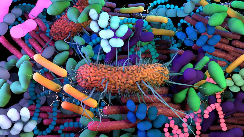 The human Microbiome, genetic material of all the microbes that live on and inside the human body.