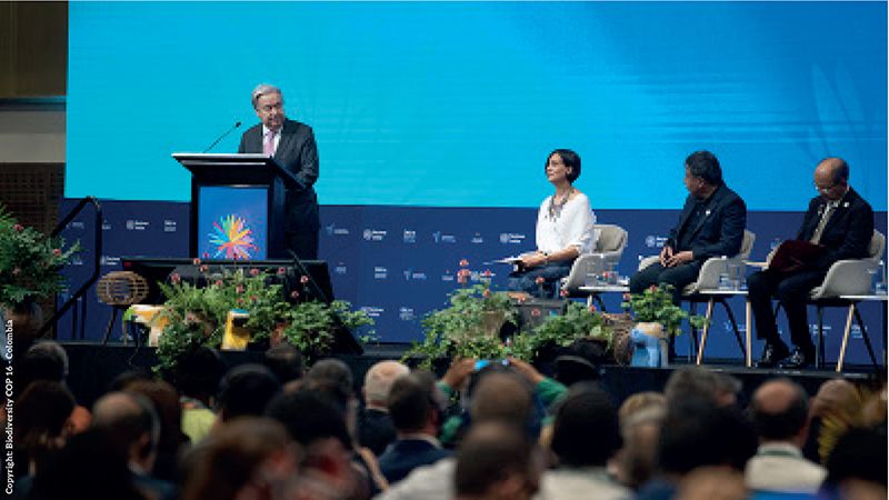 COP16: Countries form ‘peace with nature’ coalition to reverse biodiversity loss