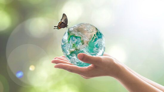 What Earth Overshoot Day means for investors