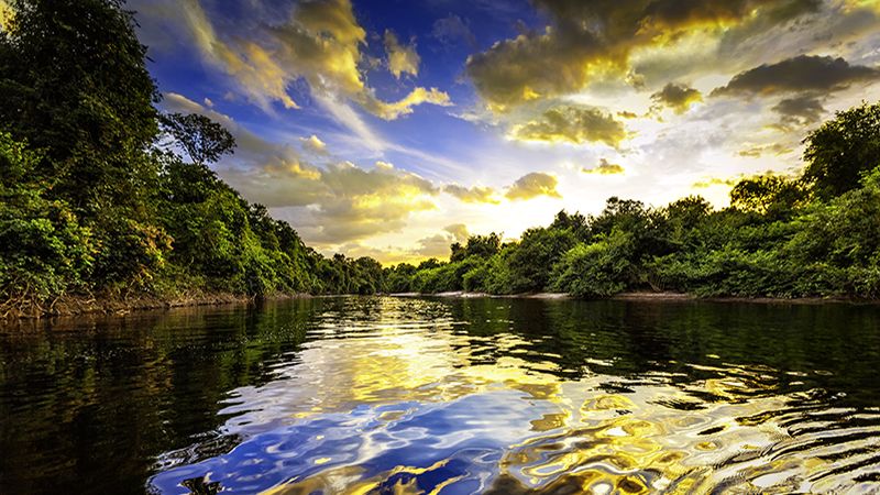 Dramatic colorful landscape on a river in the amazon state Venezuela at sunset