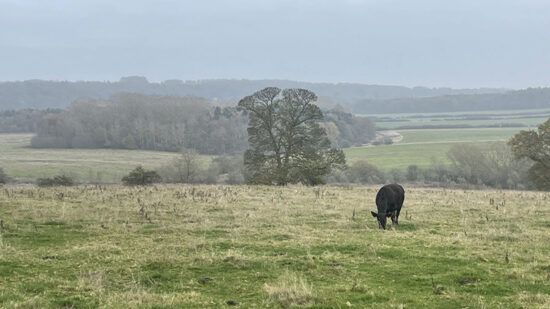 CIP launches bioenergy fund with €1.5bn target