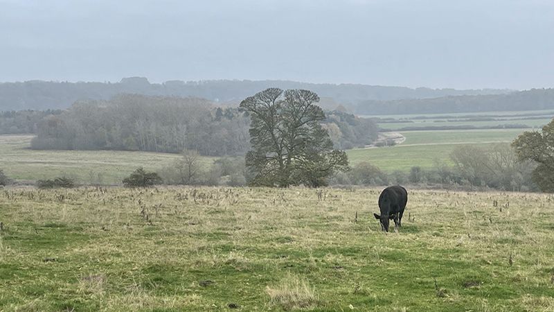 Bog Farm, Yorkshire