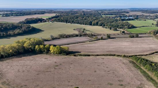 Born to rewild: How nature shares are aiming to restore biodiversity to the UK