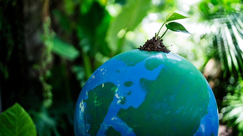 Growing a plant on a globe of planet earth