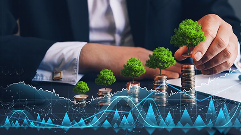 Businessman holding coin with tree growing on money coin stack and digital growth graph. Green business growth. Finance sustainable development